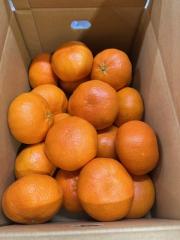 �Õ� 3L�`2L ��5kg �G ���Q�������Y �����p �M�t�g �ʕ� �t���[�c �݂��� ����؂� �T�j�[�t���[�c���R