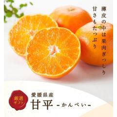 �Õ� L�T�C�Y ��3kg 15�ʓ� ���Q���Y �����p �M�t�g �ʕ� �t���[�c �݂��� ����؂� �T�j�[�t���[�c���R