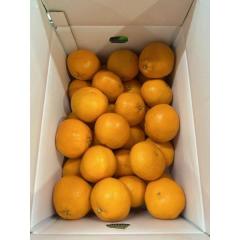 ���Q�������Y �͂�� ��5kg �G M�`S �����p �M�t�g �ʕ� ���k �t���[�c �݂��� �T�j�[�t���[�c���R