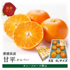 �Õ� 4L�T�C�Y ��3kg 8�ʓ� ���Q���Y �����p �M�t�g �ʕ� �t���[�c �݂��� ����؂� �T�j�[�t���[�c���R