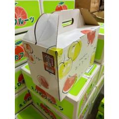 �y�󂠂育����p�z�Õ� ��2.5kg 4L�`L�T�C�Y ���Q���Y ���k �ʕ� �t���[�c �݂��� ����؂� �T�j�[�t���[�c���R�@