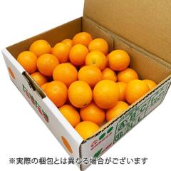 ���n���񂩂� ���܂��� A2L�`AL ��1kg  �{�茧�Y ������p �����p �ʕ� �t���[�c ���� �L���J�� �T�j�[�t���[�c���R