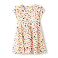 �Z���X�I�u�����_�[(sense of wonder)flower garden���������s�[�X