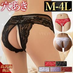 �Z�N�V�[�V���[�c �傫���T�C�Y �Z�N�V�[ T�o�b�N �Z�N�V�[�����W�F���[ �傫���T�C�Y �Ҋ���V���[�c ���ߌ� ���������� �G�������� �G