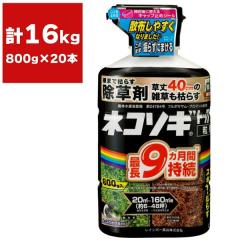 ������ �l�R�\�M�g�b�vF ���� 800g �~20�{ ���C���{�[��i ������ ���� ������ �l�R�\�M ������ ���� ������ �l�R�\�MF ������ ���� �l�R