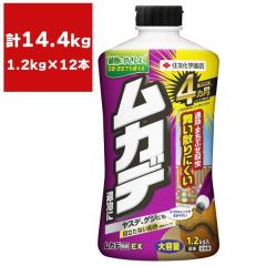 �E���� ���J�f����EX 1.2kg�~12�{ KINCHO���| �E���� ���J�f �E���� ���J�f �쏜 ���J�f �΍� ���J�f �ގ� ���J�f �쏜�� ���J�f�΍� ��