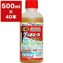 ������ �O���z�G�[�XPRO 500ml�~40�{ �n�[�g ������ �O���z�T�[�g ������ ������ ���� �Ɩ��p ������ �t�� ������ �O���z�G�[�X ������ 