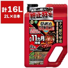 ������ ���ގ��X�g�����O �V�����[ 2L�~8�{ �Œ�11�J������ KINCHO���| ������ ���� ������ ���� ������ �����͂�鏜���� �ȒP���� �G��