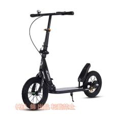 Raychell FB-206R ブラウン (35650) [折りたたみ自転車 (20×1.75