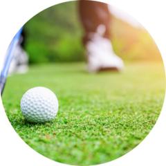 �S���t eagle view �C�[�O���r���[ �����Y �S���t�����Y ���K�l �T���O���X �x�Ȃ� �x�t�� 1.60 ���^���� �ɓ����w �ɓ����w�H�� ���{��