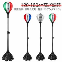 高柳 剣道防具セット 面・胴・甲手・垂セット 荒神III KAR63S 剣道具