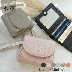 Holiday A.M. �yKW088�z �~�j���z �S6�F(���f�B�[�X ���������z �{�v ���z �R���p�N�g �����Y ���K���� �R�C���P�[�X �J�[�h�P�[�X �J�[