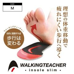 �h���[�� �E�H�[�L���O�e�B�[�`���[�C���\�[���X���� M(�C���\�[�� ���~�� �A�[�`�T�|�[�g �y���܂� �Ռ��z�� ���f�B�[�X �����Y �X�|�[