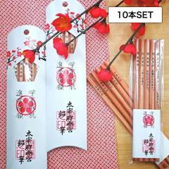 �y10�z�t�H�[�J�[�g ���ɕ{�Q�{���M 5�{�Z�b�g(���i�F�� �w�Ɛ��A �i�w�F�� ���� ���ɕ{�V���{ ���y�Y �}�[�N�e�X�g ���蕨 ���� �A�� 