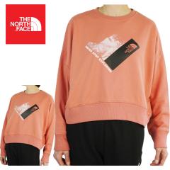 �m�[�X�t�F�C�XTHE NORTH FACE���f�B�[�X �g���[�i�[W RECYC CLIMB GRAPHIC CREW�E�B�����Y ���T�C�N�� �N���C�� �O���t�B�b�N �N���[FAD
