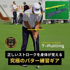 �y���K���z�p�[�t�F�N�g�X�g���[�N �e�B�[�p�b�e�B���O PERFECT STROKE T-Putting �p�^�[���K