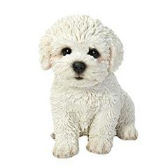 ���� �q���� �r�V�����E�t���[�[ ���� ���� ���� ��15����/ �}���`�[�Y ���r���O �y�b�g �h�b�O�J�t�F �a���j�� �v���[���g ���蕨(�A��