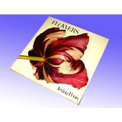 �m���ʐ^�W�@�t�����[�Y/�A�[�r���O�E�y��/ FLOWERS/Irving Penn�i�A���i�j