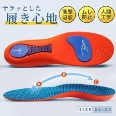 �C���\�[�� 2�_�Z�b�g �Ռ��z�� �A�[�`�T�|�[�g �Ε��� ���~�� ���ɂ��� �X�j�[�J�[ �X�|�[�c �����j���O�C �����Y ���f�B�[�X �ᔽ�� 