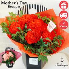 ��̓� �J�[�l�[�V���� 2025 �ԑ� �v���[���g �l�C �M�t�g �� �V���v�� �������� ��΂�� �Ί� �ԃs���N �ԕr�s�v �u�[�P ������� ����