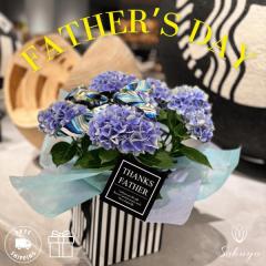 ���̓�  ��������  ���z�� �A�W�T�C ����  2025 �M�t�g �a���� �� �v���[���g �������� �� �u���[ �s���N 5���� �{�b�N�X�t