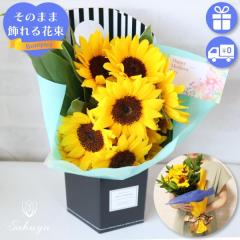 �Ђ܂�� �ԑ� ������ �q�}���� ���̓� �v���[���g �l�C �M�t�g �������� ��΂�� �Ί� ���F �I�ׂ�y���� �X�^�C���b�V�� �ԕr���Ȃ���