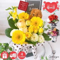 ��̓� �� 2025 �t�����[�A�����W�����g �M�t�g ���\�� ���� �v���[���g �L�O�� �� �{�b�N�X �������� ���F �� �s���N �� ���b�Z�[�W�J�[