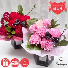 ��̓� �J�[�l�[�V���� 2025 �t�����[�A�����W�����g �M�t�g  �� �� �V���v�� �{�b�N�X �������� ��΂�� �Ί� �I�ׂ�y���� ���킢�� 