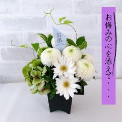 ������ �� ���Y �e �m���������� ���� ������� ���� �� ���� ���l�� ��̓� ������ �n���̓� ���� ���� ���~ �M�t�g �A�����W ���t�w��