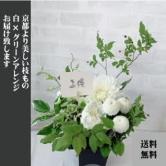 ������ �� ���Y �e �m���������� ���� ������� ���� �� ���� ��̓� ���� ���� ���~ �M�t�g �A�����W ���t�w�� �S�̂��������z���ő��