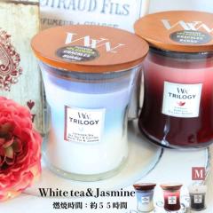 �L�����h�� �A���} �E�b�h�E�B�b�N WoodWick ���΃L�����h�� �J�[�~���O �t���[�c �E�H�[���E�b�Y �L�����h�� �g�����W�[ �W���[M �u���K