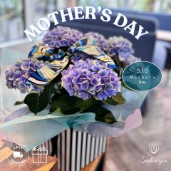 ���z��  ��̓� �a���� �� �������� �A�W�T�C ���̓�  MOTHERS DAY �a���� �� 2026 �v���[���g ��j �� �M�t�g �������� ���ꂳ�� ������