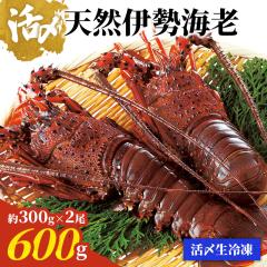  �y���Ԍ���!22,220�~��11,110�~�z�V�R�ɐ��C�V ���Y���Ⓚ �ɐ��C�V �ɐ����� �ɐ��G�r ���Y �Ⓚ �M�t�g �����j�� ������ ���Ε� ���� 