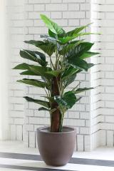 lHϗtA tFCNO[ tBfh tFCNO[ ^ ϗtA 120cm  A   CeA  