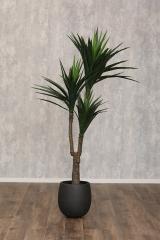�l�H�ϗt�A�� �t�F�C�N�O���[�� ���b�J �t�F�C�N�O���[�� ��^ �ϗt�A�� 180cm �������� ���A�� ���� ������ �C���e���A ���� �傫�� ��