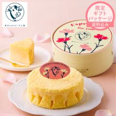 �����~���N�`�[�Y�H����� �y�������� Especially for you �~���N�`�[�Y�P�[�L�z �`�[�Y�P�[�L ���َq �X�C�[�c �M�t�g � �P�[�L �m