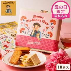 �U�E���[�v���}�j�A����  �y�������݁y��̓�����z���[�v���M�t�g18�����z �M�t�g ���َq �l�ߍ��킹  �M�t�g ���j�� ���� � �X