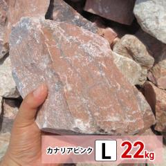 ��� ���b�N�K�[�f�� �� ���I�� �J�i���A �s���N L 22kg �K�[�f�j���O �� �K�[�f�����b�N �� �N���b�V�����b�N �h���C�K�[�f�� �� �I�� 