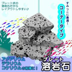 �����p�V�R�� 2kg �R�[�i�[ �n��΃v���[�g �A�N�A���E�� �� ���C�A�E�g �{���P�[�m���b�N �V�R�� ������ �I�V���� �����p�i �A�N�A���E