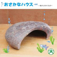 ���̉� �V�R�� ���蔲�� �������ȃn�E�X ���� �����ꂪ ���R�΂ł������芴 ��