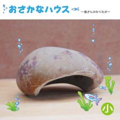 ���̉� �V�R�� ���蔲�� �������ȃn�E�X ���� �����ꂪ ���R�΂ł������芴 ��