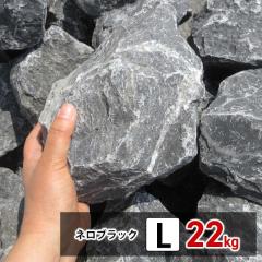 ��� ���b�N�K�[�f�� �� ���I�� �� L 22kg �K�[�f�j���O �� ���`�� �K�[�f�����b�N �� �N���b�V�����b�N �h���C�K�[�f�� �� �I�� �݂���