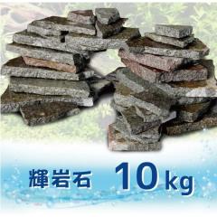 �ۏؕt�� �����̐� 10kg�Z�b�g �A�N�A���E�� ���b�N ���C�A�E�g �Z�b�g �I�u�W�F ���Y �V�R�� ������ �P��� ���� �� �M�ы� �W���� ���C