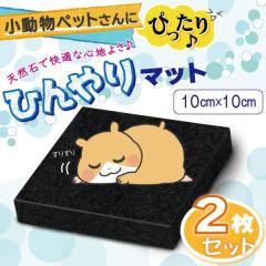 �V�R�� �Ђ���}�b�g 2���Z�b�g 10�~10cm �� �₽�� �􂦂� ��v �V�R�� �y�b�g �� �L ������ ���� �˂� �C�k �l�R ���^�� ��^�� �x�b