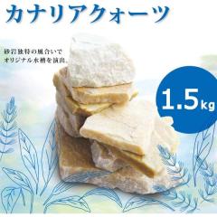 �J�i���A�N�H�[�c�� 1.5kg �A�N�A���E�������̃��C�A�E�g��