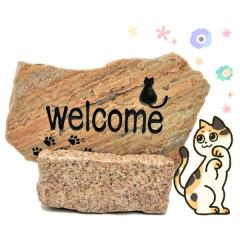 ���R�� �i�`�������N�H�[�c �E�F���J���X�g�[��-�L