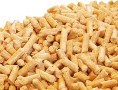 �J�u�g���V �N���K�^ ���� �}�b�g ���R�� �y���b�g �ׂ��ׂ��Ƃ͂������ �؎��y���b�g ���������M���b�ƈ��k ���イ���� 4kg �����}�b�g