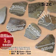 ��i�V���[�Y ���΁y�z�K�S���̂��M���z �厩�R�̋��R���n�肠������i ���R���S�̓��{�� �S���M ��