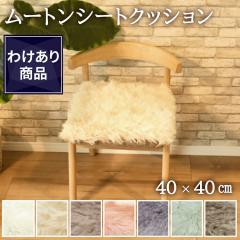 �y�킯���艿�i�z��� ���[�g���V�[�g�N�b�V���� 40�~40cm ���у^�C�v �є� ���[�g���N�b�V���� ���[�g�� �N�b�V���� ���z�c �\�t�@�[ 