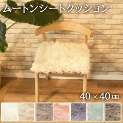 �y2���Z�b�g�z ���[�g���V�[�g�N�b�V���� 40�~40cm ���у^�C�v �є� ���[�g���N�b�V���� ���[�g�� �N�b�V���� ���z�c �\�t�@�[ �g���� �V